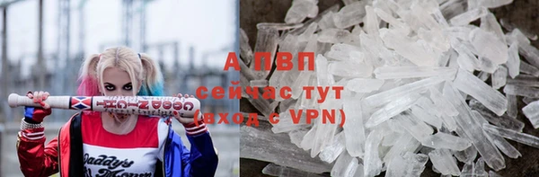 PSILOCYBIN Дмитров