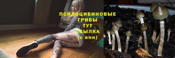 твердый Абинск