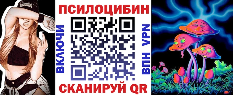 Псилоцибиновые грибы Psilocybe  Ивантеевка 