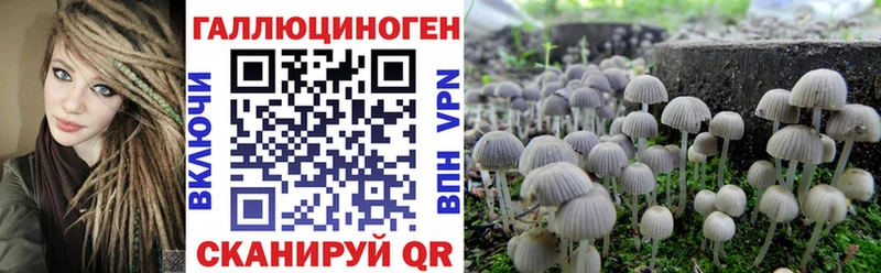 Псилоцибиновые грибы Magic Shrooms Ивантеевка